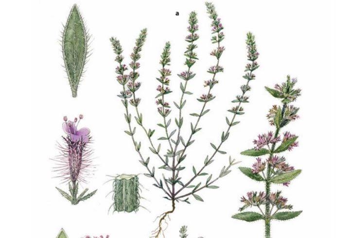 Acropolitana 2 Διαμέρισμα Αθήνα Εξωτερικό φωτογραφία